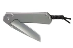 CHRIS REEVE KNIVES Chris Reeve Large Sebenza 31 Sprint Tanto S35VN Glass Blast Titanium Folder