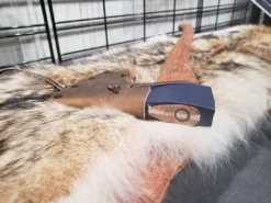 Cheapest ๐ Hults Bruk Agdor 26" Yankee Felling Axe (Sweden) Axes & Hatchets ๐ 20 Hults Bruk Agdor 26