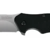Kershaw Knives Kershaw 1605 Clash Folding Knife With SpeedSafe