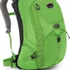 OSPREY PACKS Osprey RADIAL 34 Day Pack Backpacks