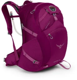 OSPREY PACKS Backpacks Osprey SKIMMER 30 Hiking Pack