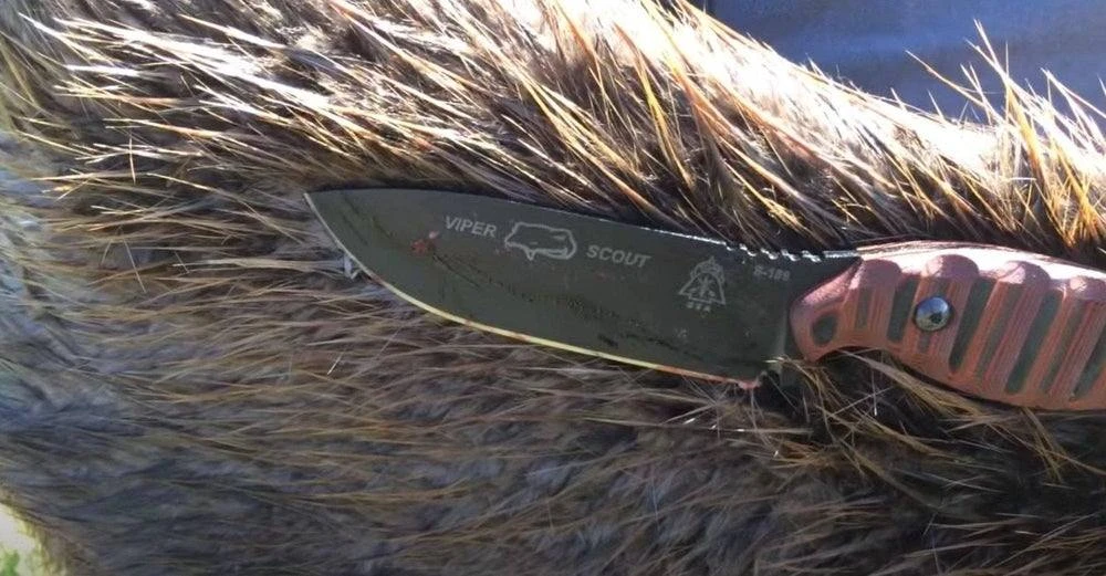 Promo π TOPS KNIVES TOPS Viper Scout Fixed Knife USA (Red Handles) π₯° 7 TOPS KNIVES TOPS Viper Scout Fixed Knife USA (Red Handles)