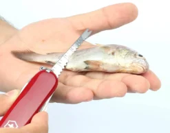 Victorinox Swiss Army Multi-Tool SwissChamp Pocket Knife